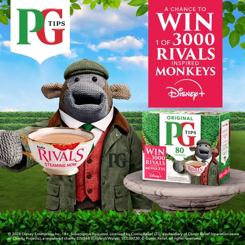 PG Tips 240 Black Tea Plant based biodegradable tea bags