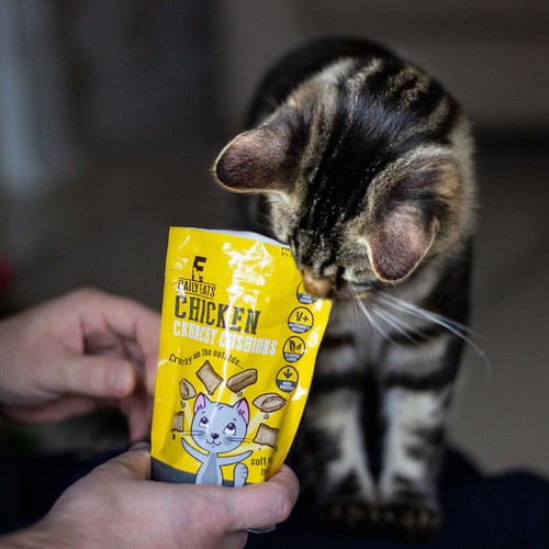 Crunchy Chicken Cushions For Cats