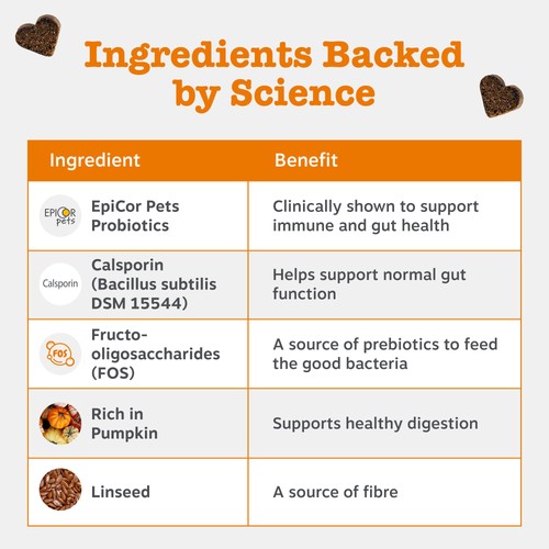 Zesty Paws Probiotic Dog Chews Pumpkin Flavour