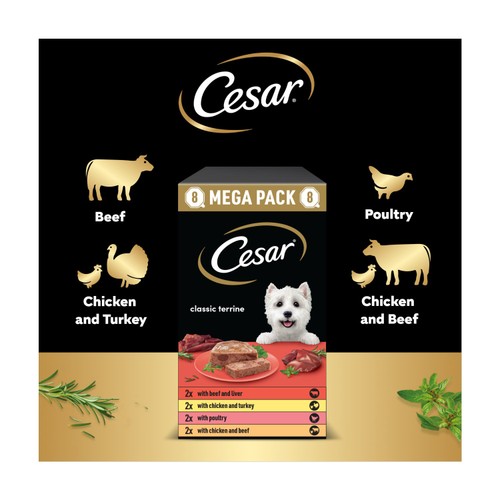 Cesar Classics Terrine Wet Dog Food Trays Mixed Selection 3x8pk