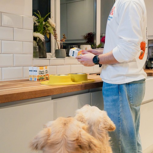 Pooch & Mutt Wet Dog Food Cartons Multipack