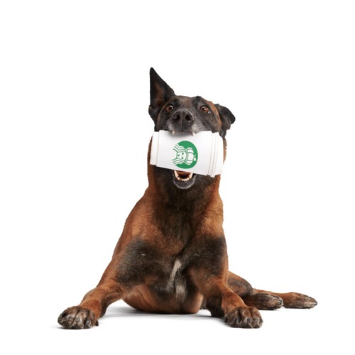 Bark Pupkin Spice Yappucino Dog Toy