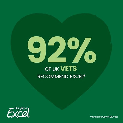 Burgess Excel Adult Rabbit Food with Mint