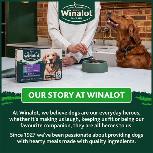 Winalot Classics Mixed in Jelly Chicken Wet Dog Food