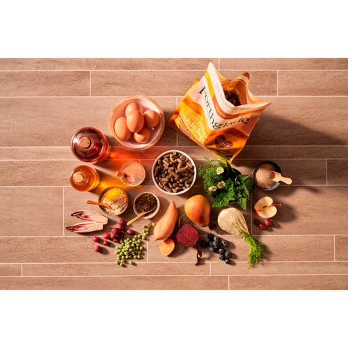 Forthglade Cold Pressed Dry Dog Food Chicken with Sweet Potato