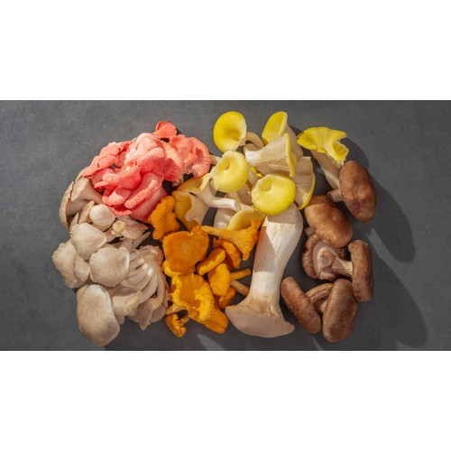 Smithy Mushrooms Ltd Seasonal Exotic Mushroom Mix