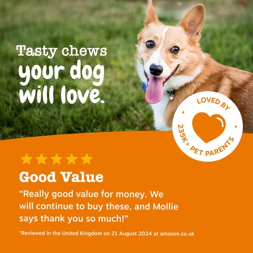 Zesty Paws Allergy & Immunity Chews Rich in Salmon Dog Treats