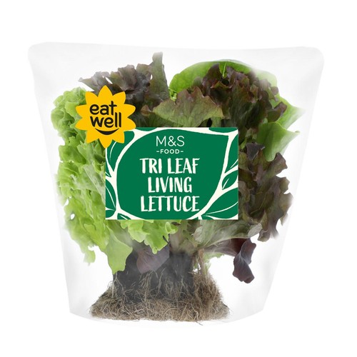 M&S Tri Leaf Living Lettuce