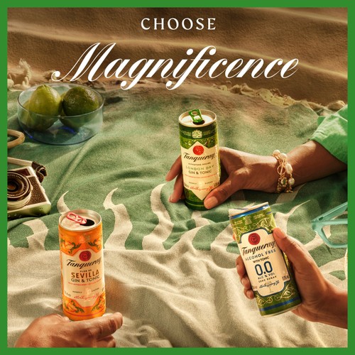 Tanqueray London Dry Gin & Tonic Ready to Drink Can