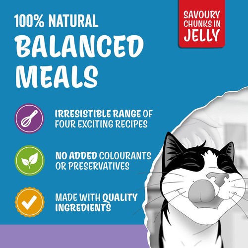 Felix Original Kitten Mixed Selection in Jelly Wet Cat Food