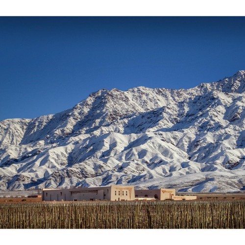 Edmond de Rothschild Flechas Gran Malbec