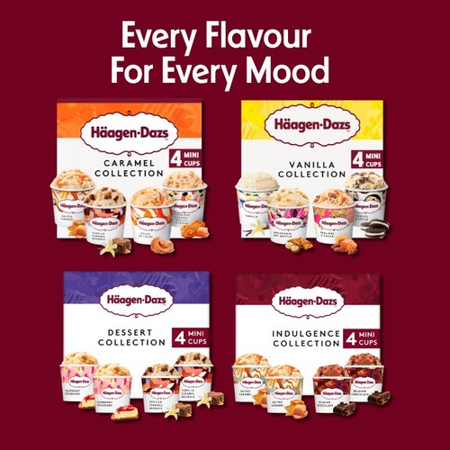 Haagen-Dazs Dessert Collection Mini Cups Ice Cream