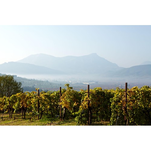 Gaia Notios Red Peloponnese