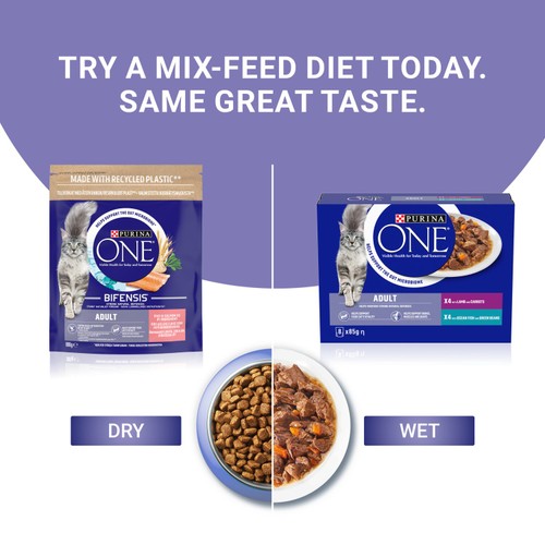 Purina One Salmon Dry Cat Food