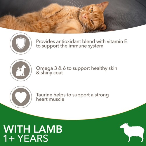 IAMS Advanced Nutrition Adult Cat  Food With Lamb