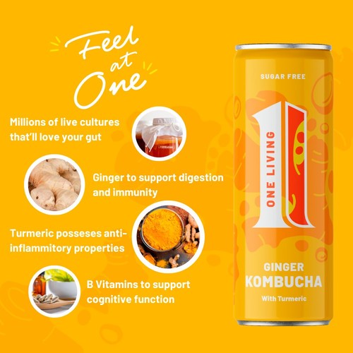 One Living Ginger Kombucha Multipack