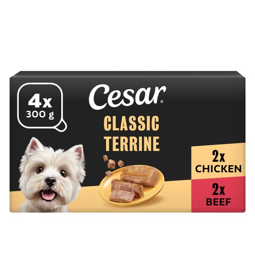 Cesar Classic Terrine Wet Dog Food with Chicken in Loaf