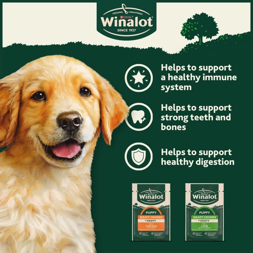 Winalot Meaty Chunks Puppy Mixed in Gravy Wet Dog Food 
