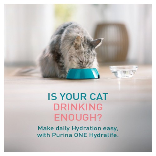 Purina One Hydralife Cat Liquid Salmon