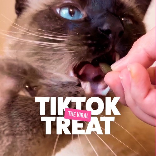 BONKERS Cat Bites Crunchy & Soft Catnip Chick N' Cheddar Flavour Cat Treats