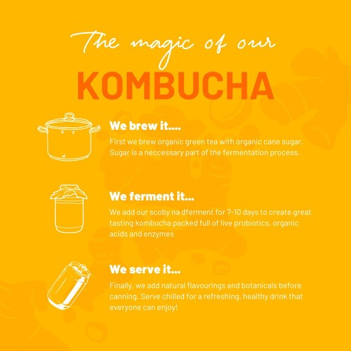 One Living Ginger Kombucha Multipack
