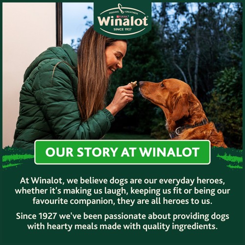 Winalot Shapes Dog Biscuits