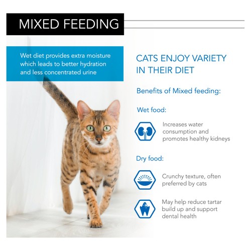 Pro Plan Nutrisavour Kitten Wet Food With Turkey