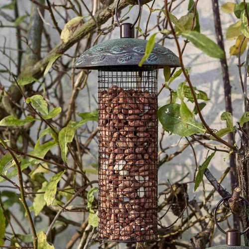 Peckish Peanuts For Wild Birds
