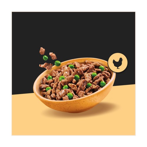 Cesar Deliciously Fresh Dog Food Pouches Favourites in Sauce