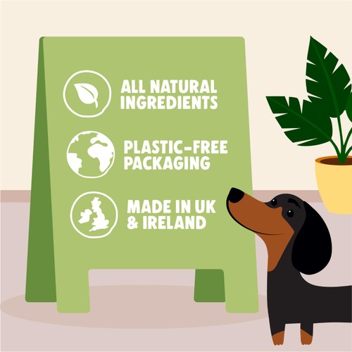 Denzels Pistachio Soft-Baked Bars for Dogs