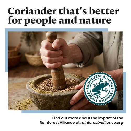 Bart Ground Coriander
