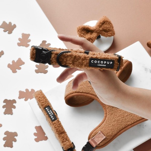 Cocopup London Teddy Paddington Dog Collar Small