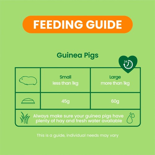 Burgess Excel Guinea Pig Food Nuggets with Mint