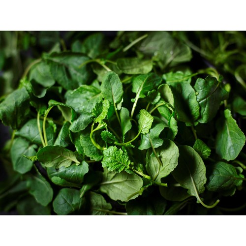 M&S Baby Garlic Kale
