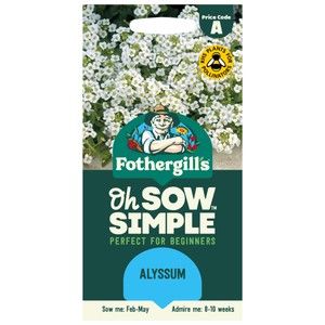 Mr Fothergill's Alyssum