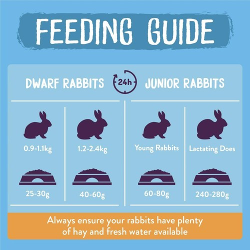 Burgess Excel Junior & Dwarf Rabbit Nuggets With Mint