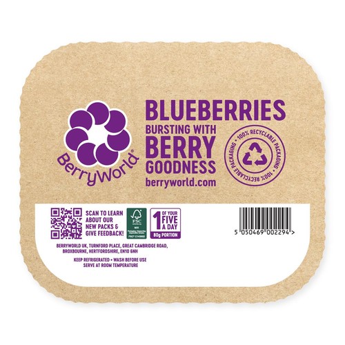 BerryWorld Blueberries