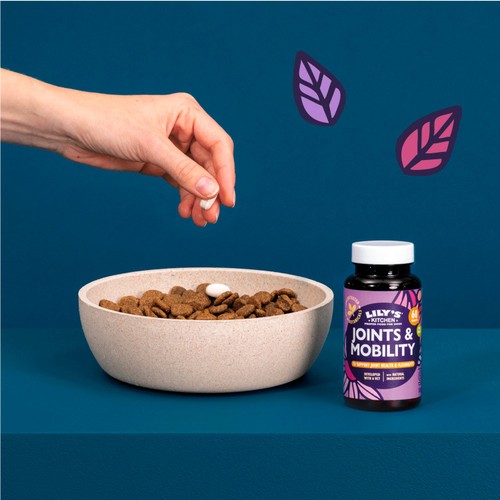 Lily's Kitchen Joints & Mobility Supplement for Dogs