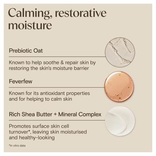 Aveeno Face Calm+Restore Rehydrating Night Cream Moisturiser