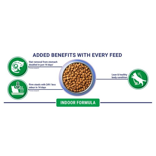 Purina One Indoor Turkey Dry Cat Food
