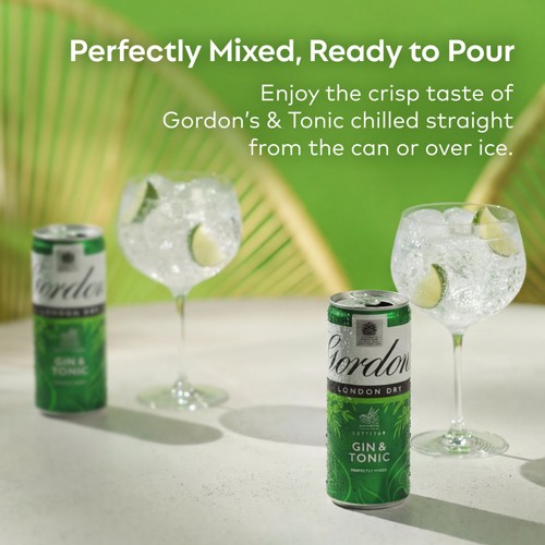 Gordon's Gin & Tonic