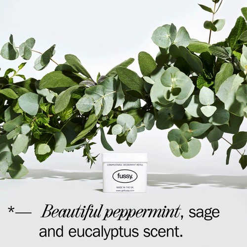 Fussy Deodorant Refill Wavy Days