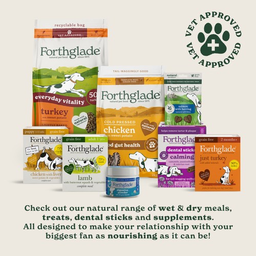 Forthglade Bone Broth Topper for Dogs, Rich Beef
