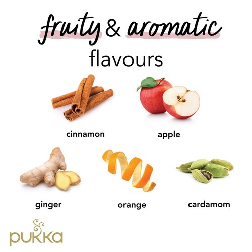 Pukka Wild Apple & Cinnamon with Ginger Teabags
