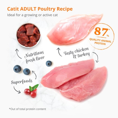 Catit Recipes Dry Adult Poultry