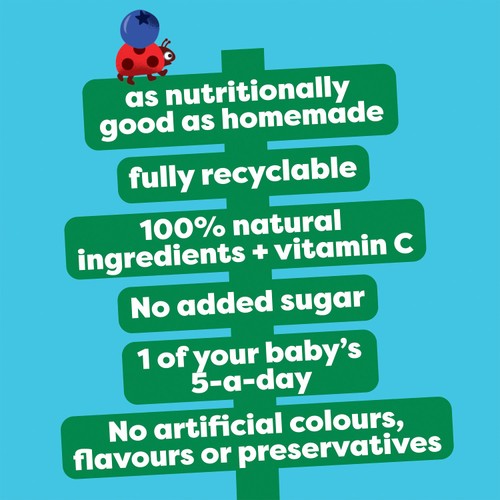 Heinz Apple & Blueberries Baby Food Fruit Pouch 6+ Months 