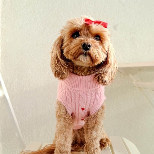 Cocopup Pink Heartstrings Jumper for Dog - M