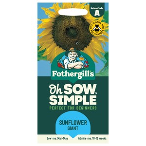 Mr Fothergill's Sunflower Giant