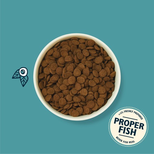 Lily's Kitchen Salmon Supper Grain Free Complete Adult Dry Dog Food