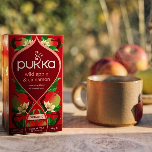 Pukka Wild Apple & Cinnamon with Ginger Teabags
